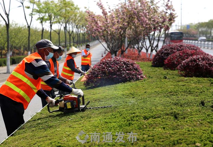 綠化工程木材銷售