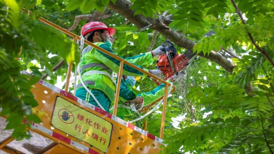 困境加深：高昂費用成園林管理的一大難題？
